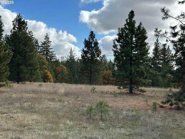 5 Acres of Land for Sale in Goldendale, Washington