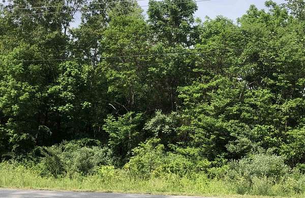 0.08 Acres of Residential Land for Sale in Cherokee Village, Arkansas