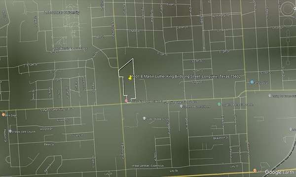 13.9 Acres of Recreational Land for Sale in Longview, Texas