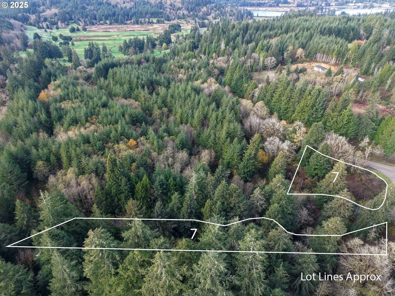 2.79 Acres of Residential Land for Sale in Eastside, Oregon