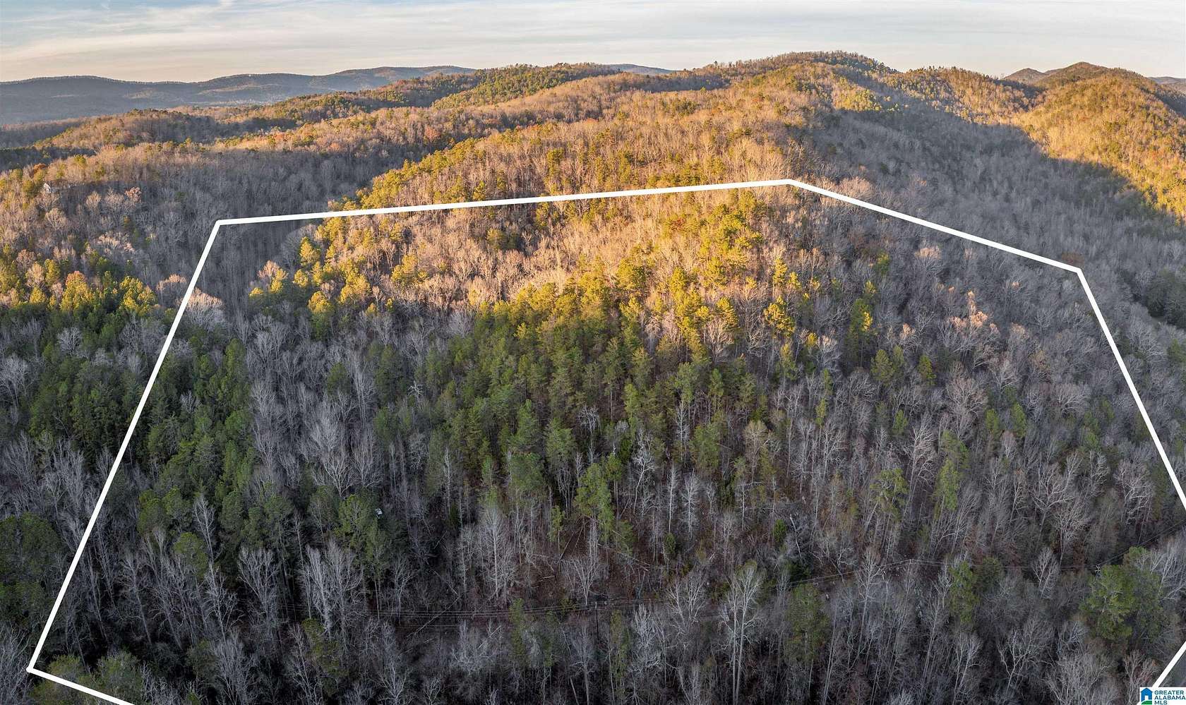 30.3 Acres of Recreational Land for Sale in Piedmont, Alabama