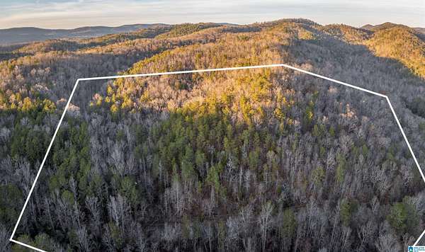 30.3 Acres of Recreational Land for Sale in Piedmont, Alabama