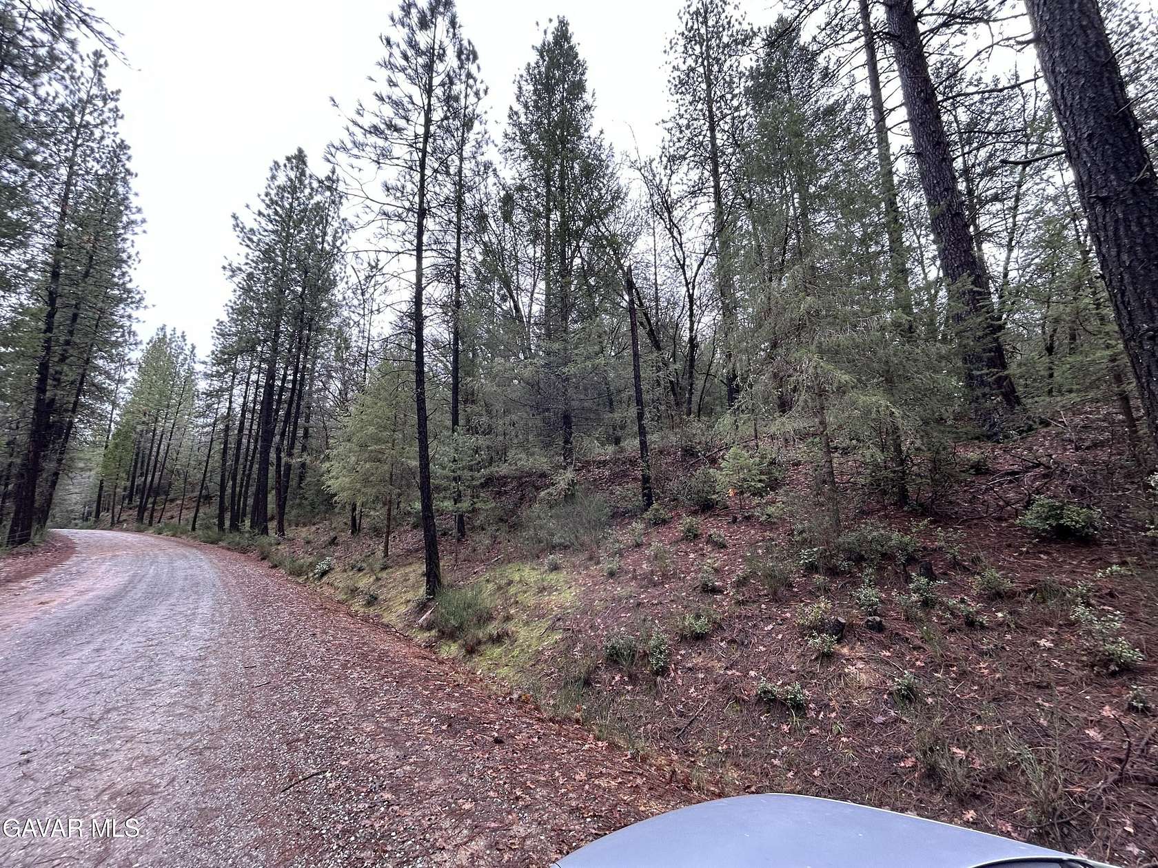 46.3 Acres of Recreational Land & Farm for Sale in Nevada City, California