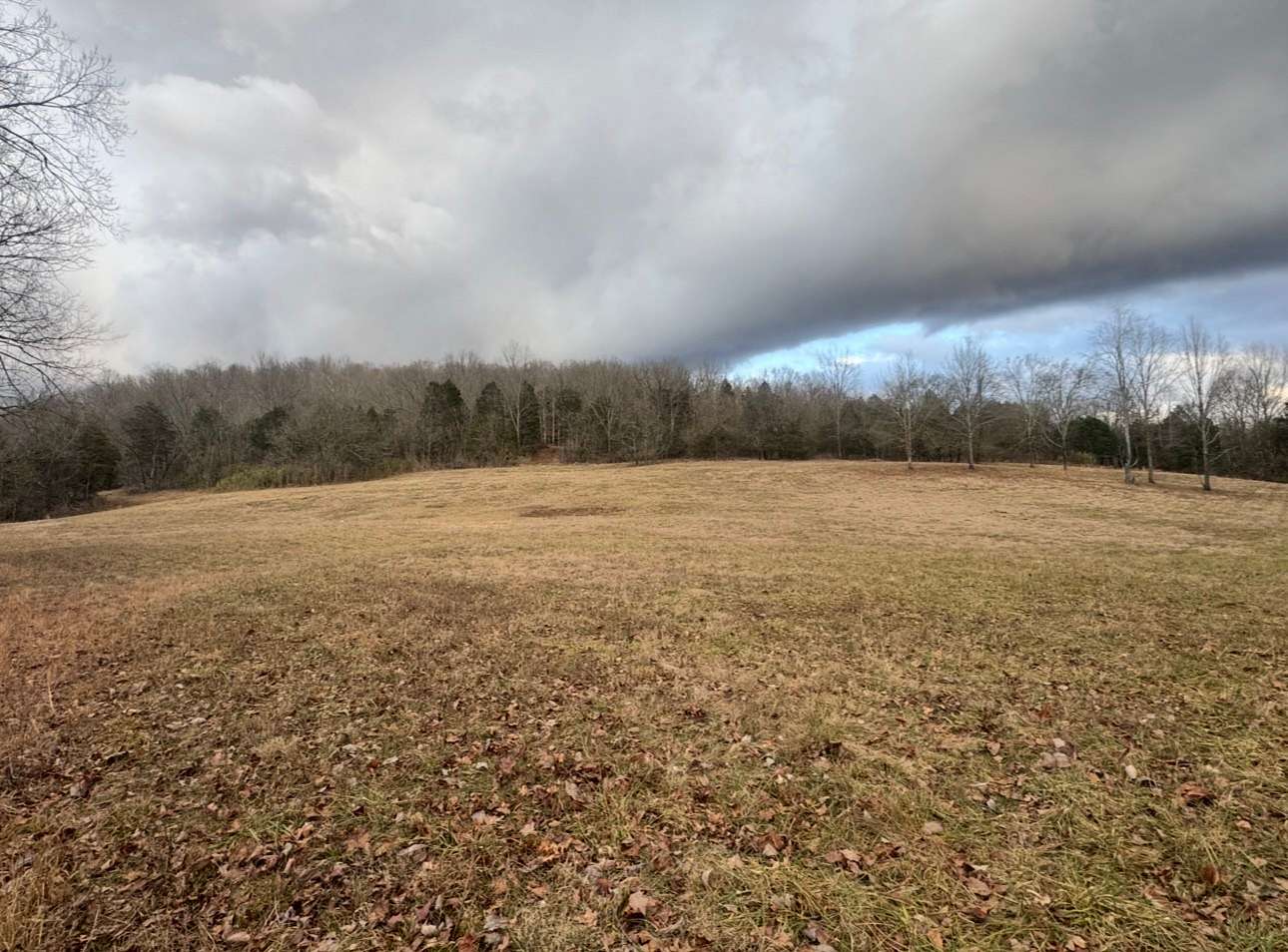 5.57 Acres of Residential Land for Sale in Bethpage, Tennessee