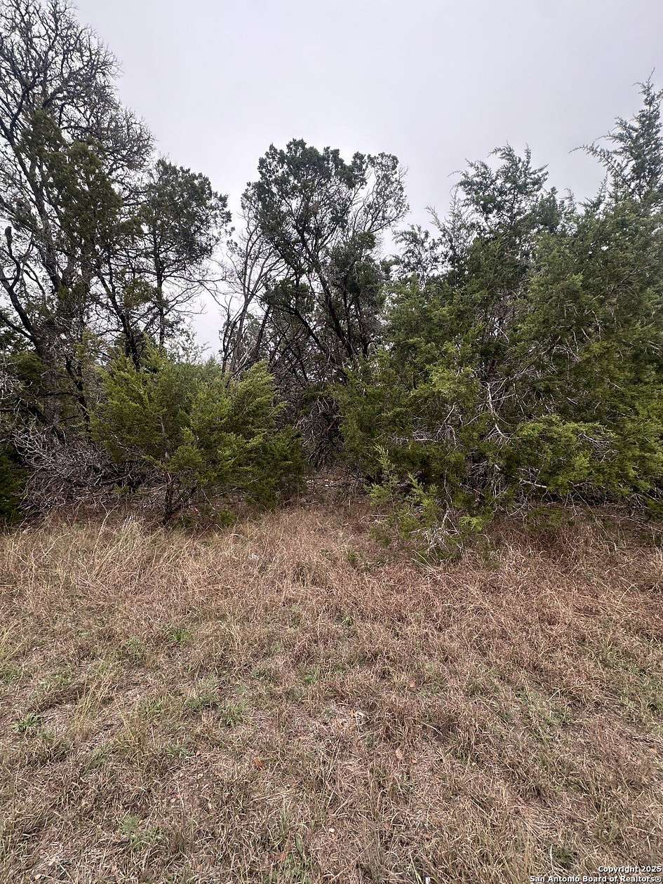 0.18 Acres of Residential Land for Sale in Spring Branch, Texas
