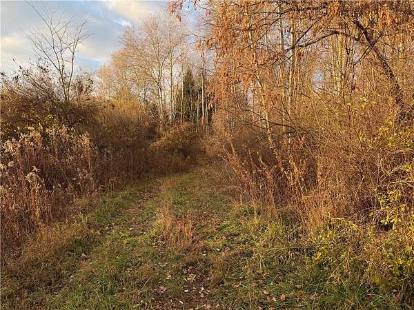2.6 Acres of Residential Land for Sale in Victor, New York