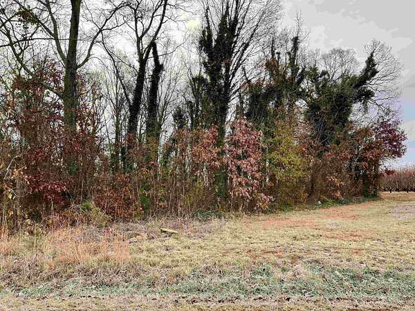 9.32 Acres of Land for Sale in Chesnee, South Carolina