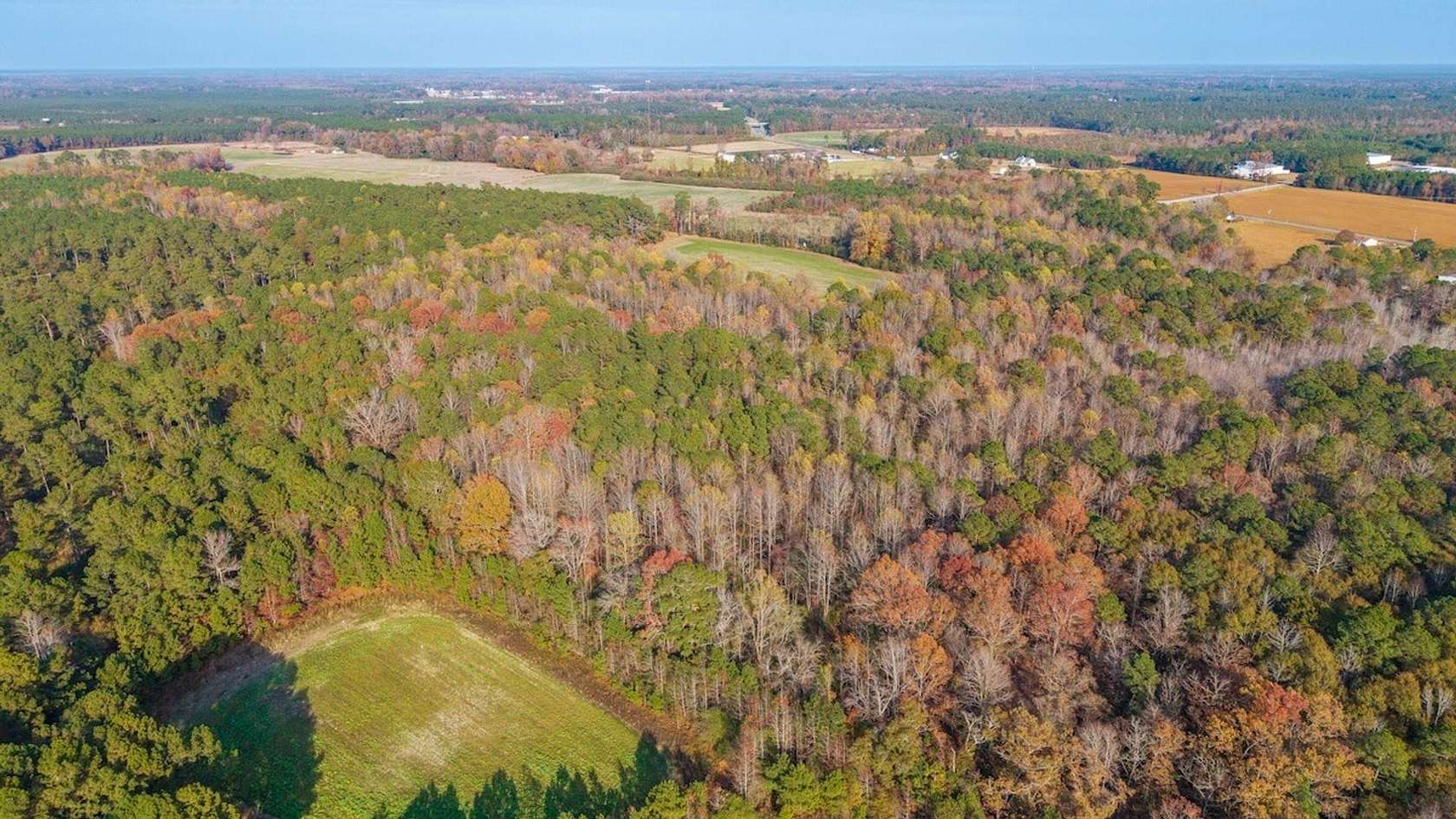 41.5 Acres of Land for Sale in Teachey, North Carolina