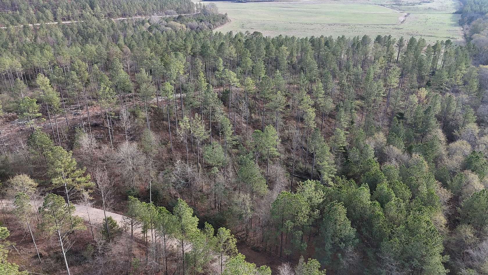 5.67 Acres of Land for Sale in Piedmont, Alabama