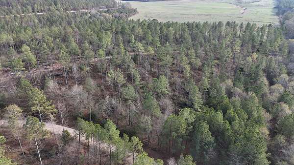 5.67 Acres of Land for Sale in Piedmont, Alabama