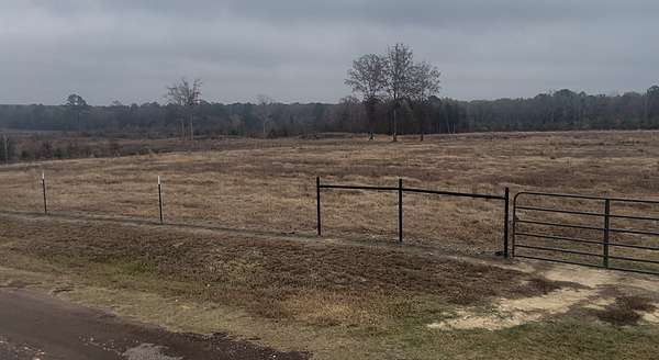 25 Acres of Land for Sale in Atlanta, Texas