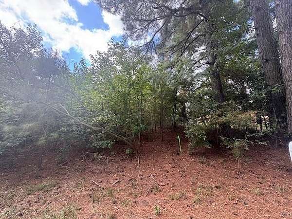 32 Acres of Land for Sale in Omaha, Texas