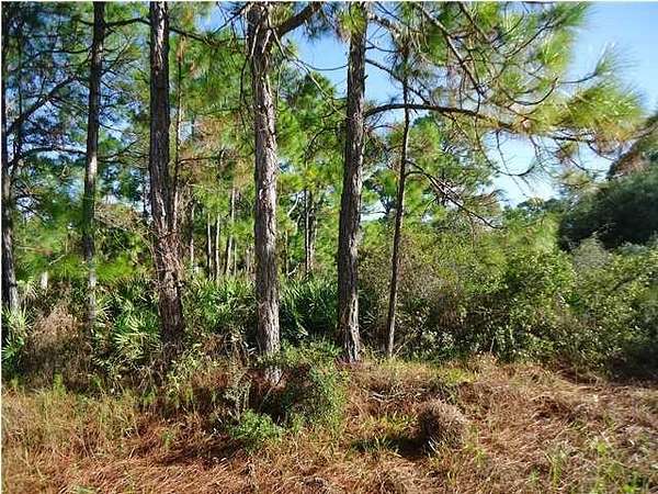 0.34 Acres of Residential Land for Sale in St. George Island, Florida