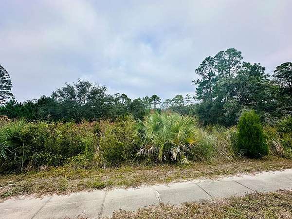 0.32 Acres of Residential Land for Sale in Carrabelle, Florida