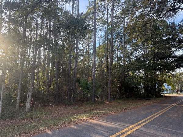 0.41 Acres of Residential Land for Sale in Apalachicola, Florida
