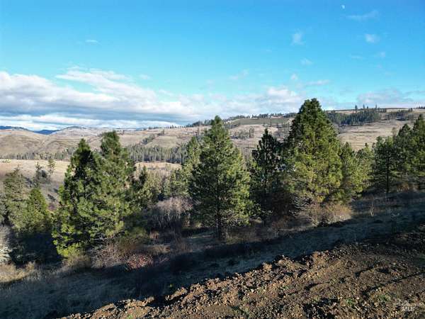 3.52 Acres of Residential Land for Sale in Kooskia, Idaho