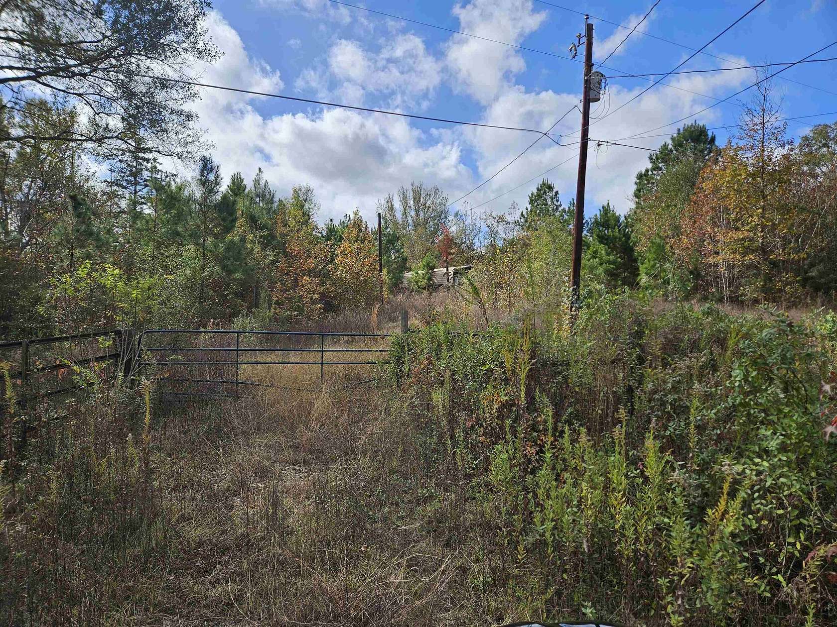 27.8 Acres of Recreational Land for Sale in Tyler, Texas