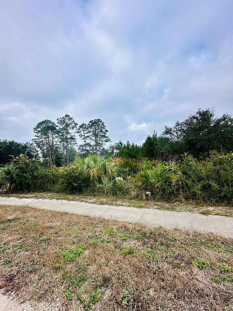 0.29 Acres of Residential Land for Sale in Carrabelle, Florida