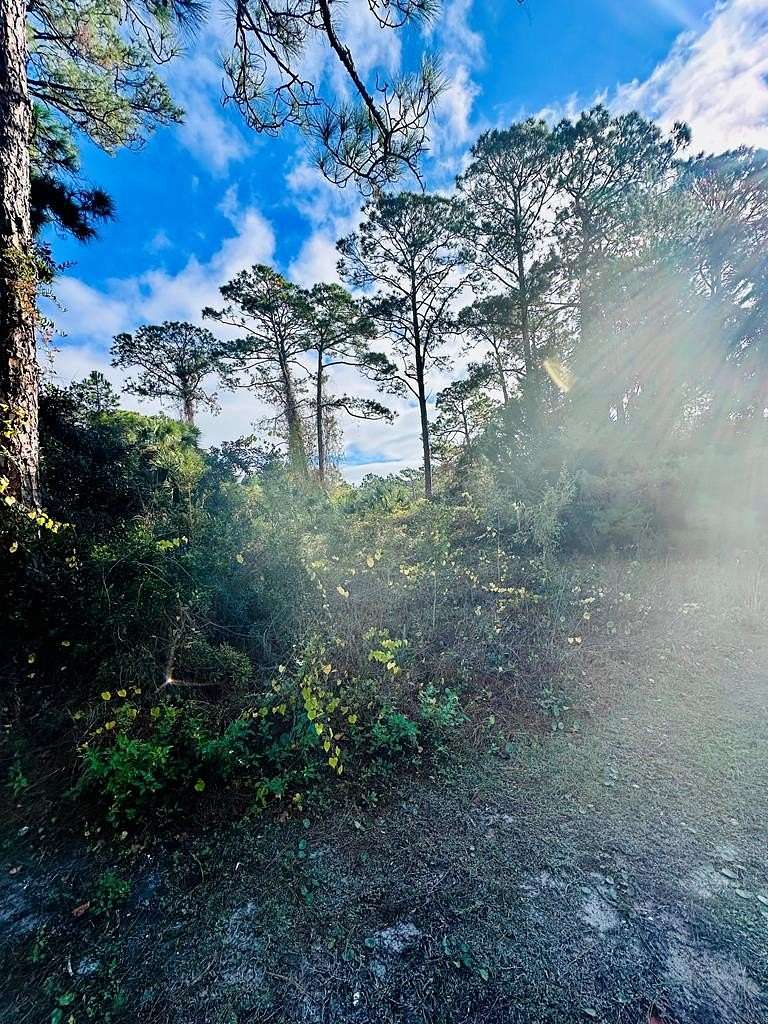 0.17 Acres of Residential Land for Sale in Carrabelle, Florida