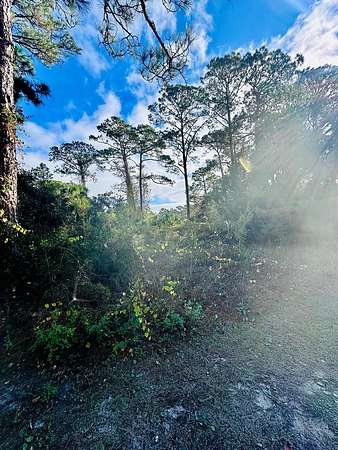 0.17 Acres of Residential Land for Sale in Carrabelle, Florida