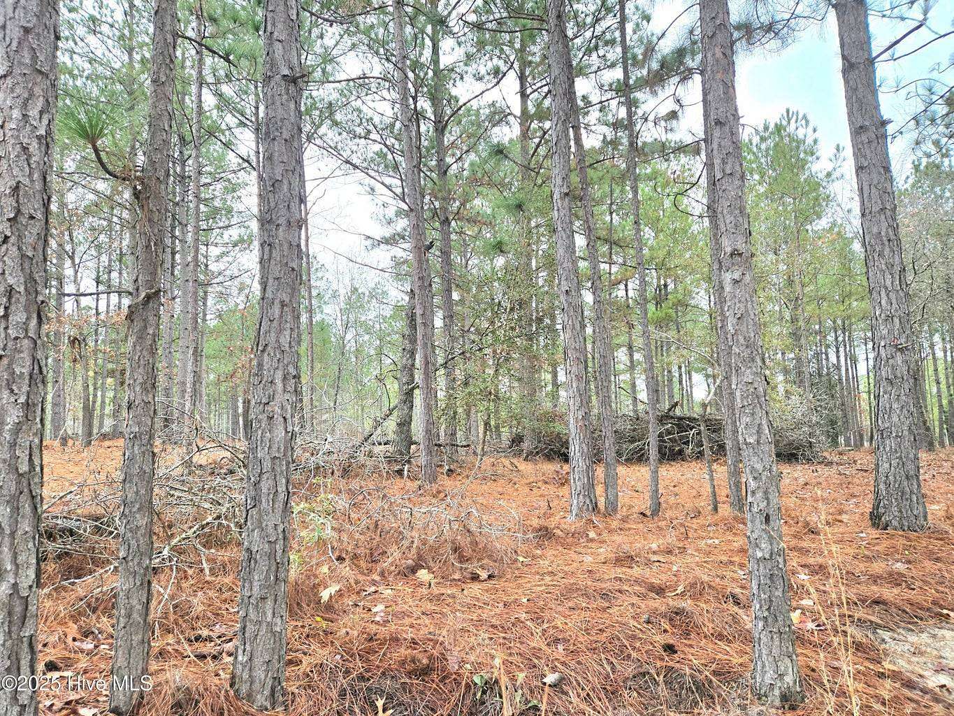 5.45 Acres of Land for Sale in West End, North Carolina