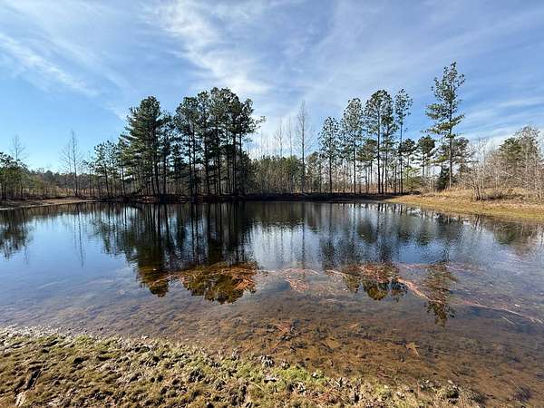 61 Acres of Recreational Land for Sale in Preston, Mississippi