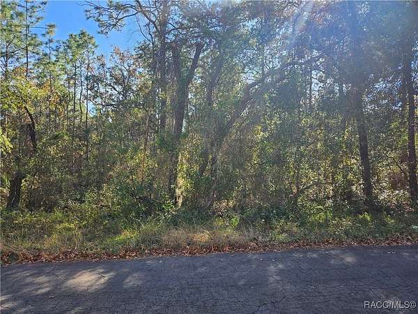 1 Acre of Residential Land for Sale in Lecanto, Florida