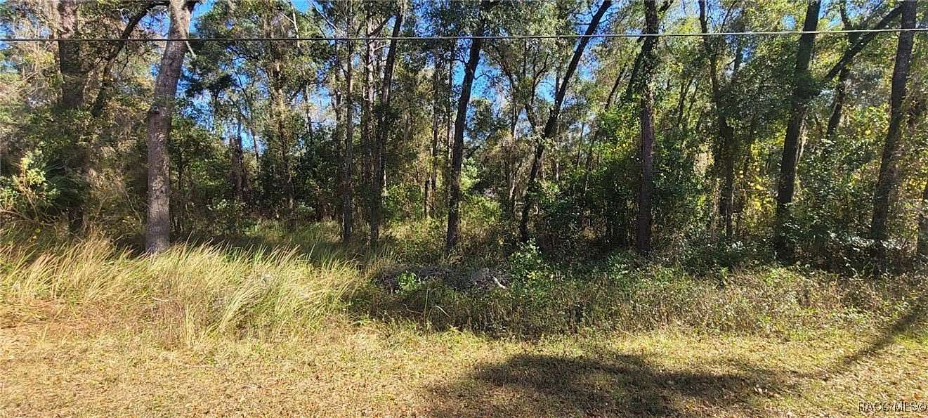 0.24 Acres of Residential Land for Sale in Inverness, Florida