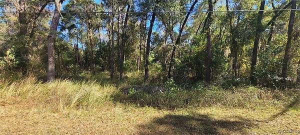 0.24 Acres of Residential Land for Sale in Inverness, Florida