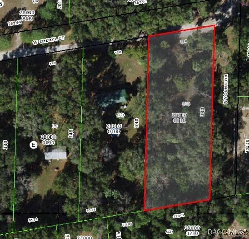 1 Acre of Residential Land for Sale in Dunnellon, Florida