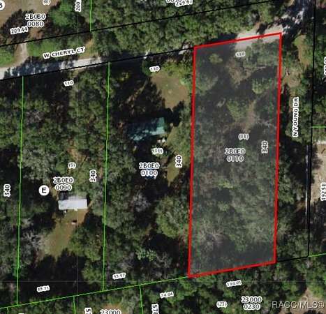 1 Acre of Residential Land for Sale in Dunnellon, Florida