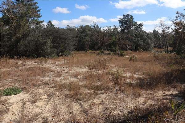 5.26 Acres of Land for Sale in Dunnellon, Florida