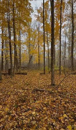 8.5 Acres of Residential Land for Sale in Gobles, Michigan