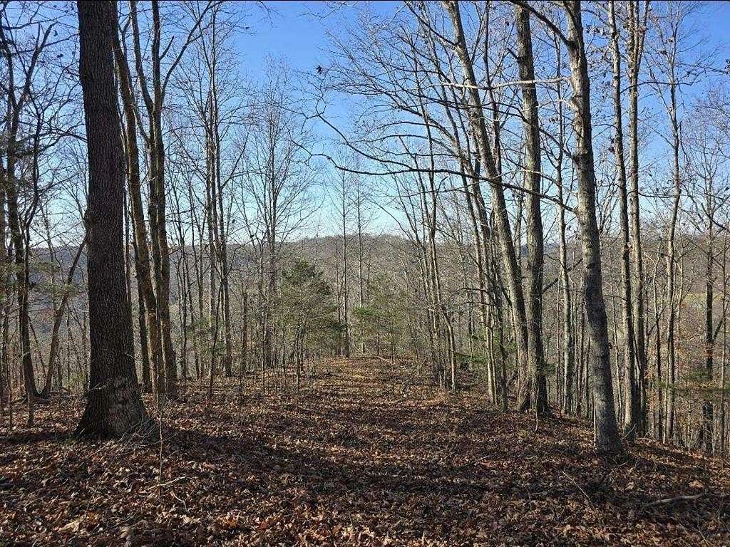 60 Acres of Recreational Land for Sale in Cookeville, Tennessee