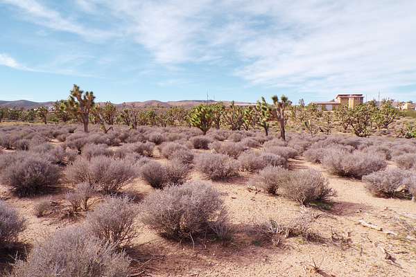 1.25 Acres of Residential Land for Sale in Meadview, Arizona