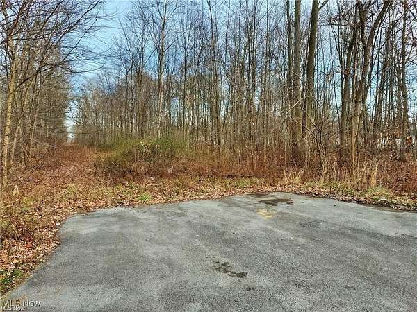 1.23 Acres of Residential Land for Sale in Lake Milton, Ohio