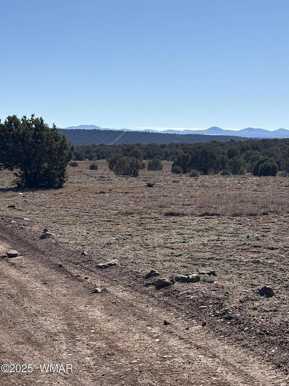 6.67 Acres of Residential Land for Sale in Concho, Arizona