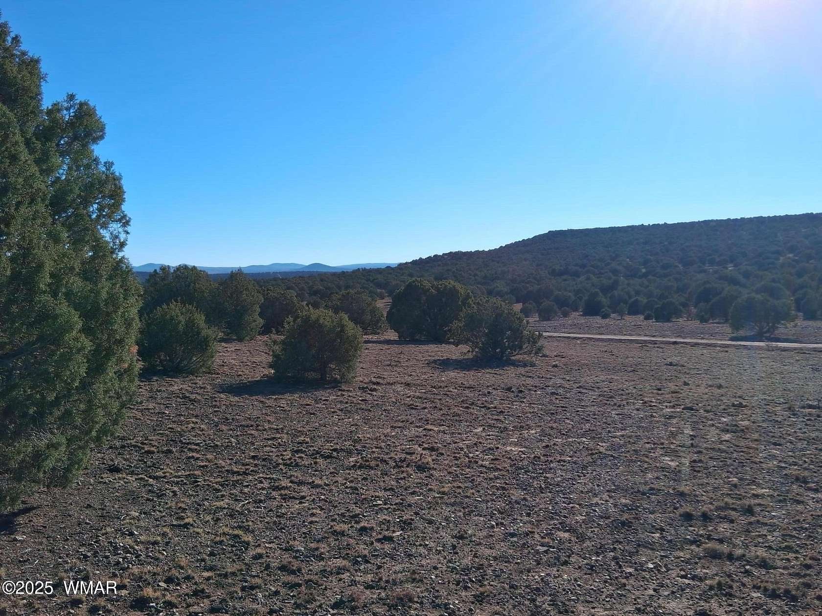 5.43 Acres of Residential Land for Sale in Concho, Arizona