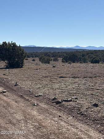 6.67 Acres of Residential Land for Sale in Concho, Arizona