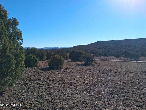 5.43 Acres of Residential Land for Sale in Concho, Arizona