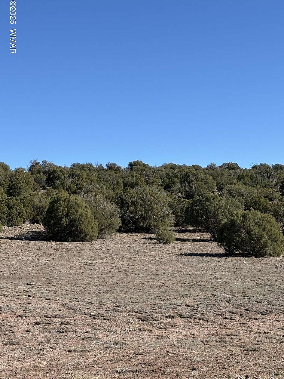 10 Acres of Land for Sale in Concho, Arizona