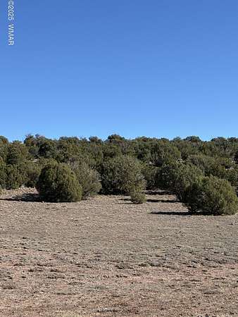 10 Acres of Land for Sale in Concho, Arizona