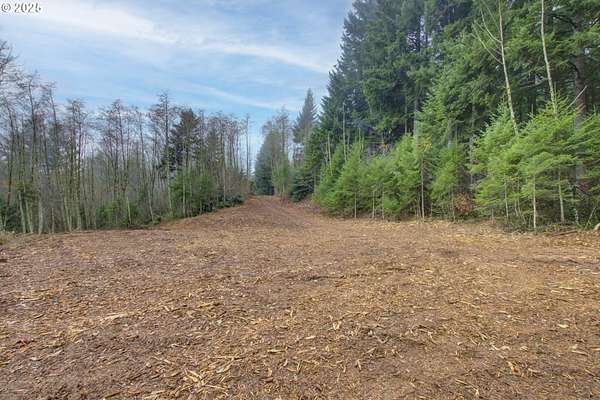 4.87 Acres of Residential Land for Sale in Camas, Washington