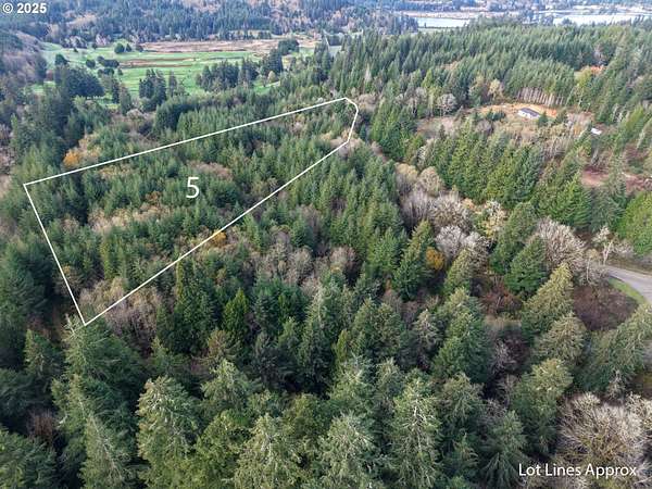 39.2 Acres of Recreational Land for Sale in Eastside, Oregon
