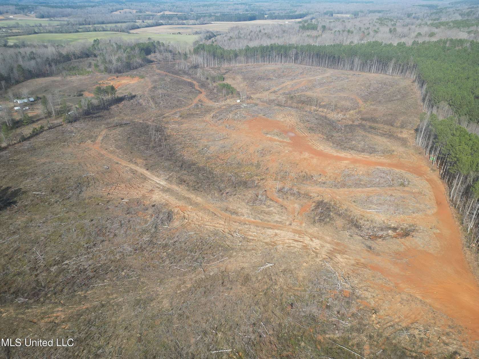 56.8 Acres of Recreational Land for Sale in Walnut, Mississippi