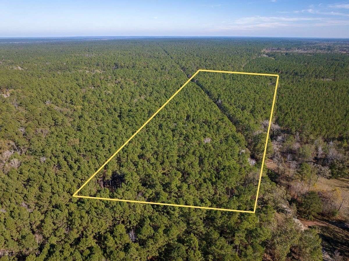 16 Acres of Recreational & Residential Land for Sale in Apple Springs, Texas