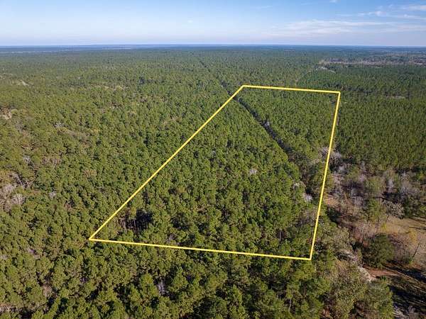 16 Acres of Recreational & Residential Land for Sale in Apple Springs, Texas