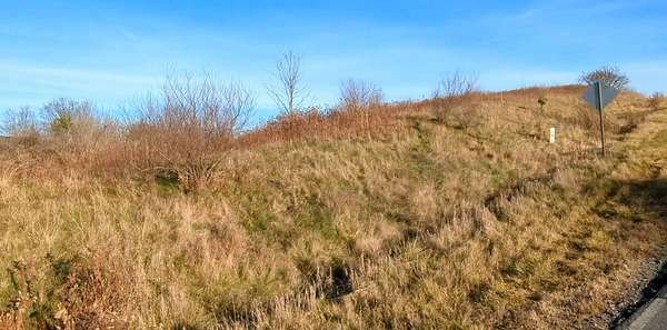 2.76 Acres of Commercial Land for Auction in Mansfield, Pennsylvania