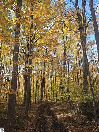 10 Acres of Recreational Land for Sale in Mancelona, Michigan