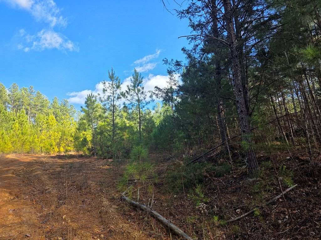 207 Acres of Recreational Land for Sale in Gladstone, Virginia